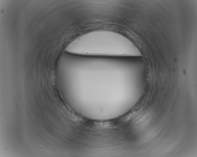 X0000068830469200605050923