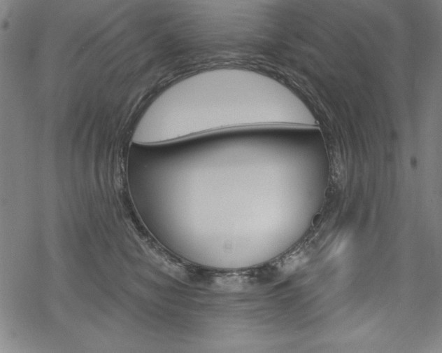 X0000068830470200605050923