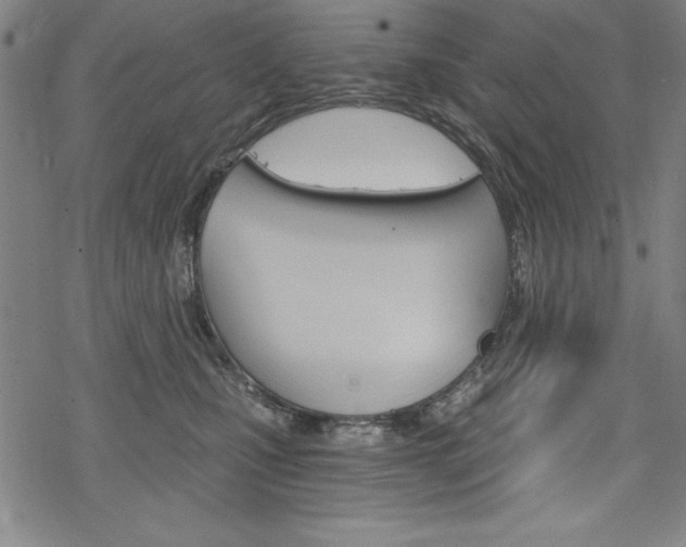 X0000068830471200605050923