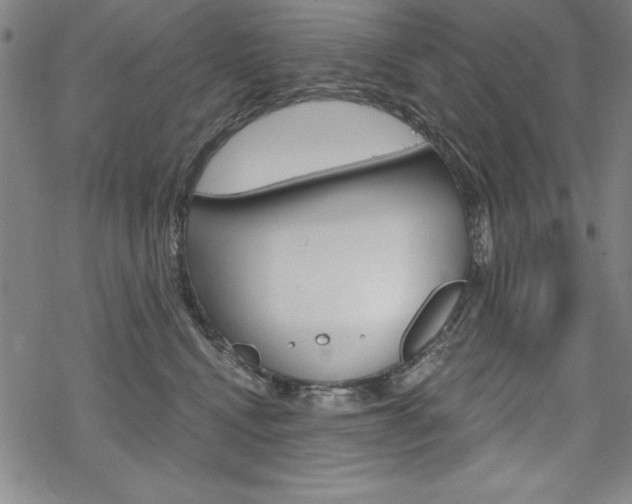 X0000068830472200605050923