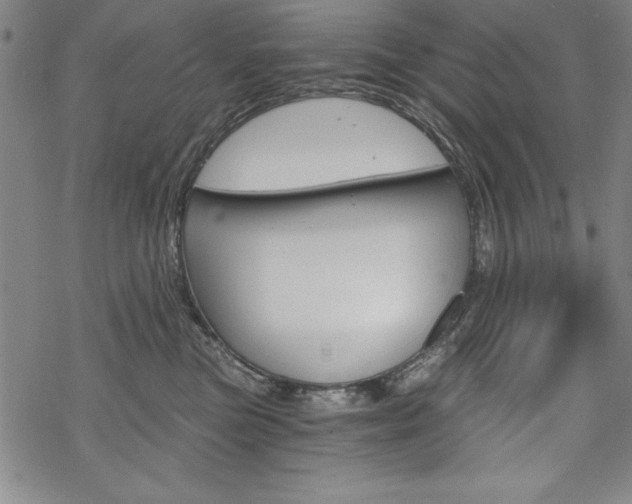 X0000068830473200605050923