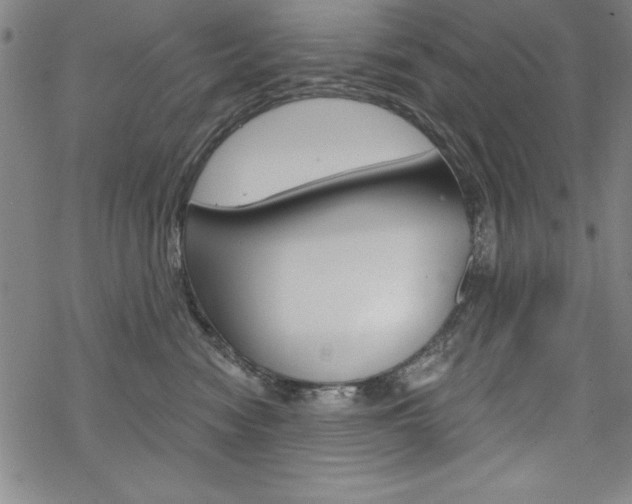 X0000068830474200605050923