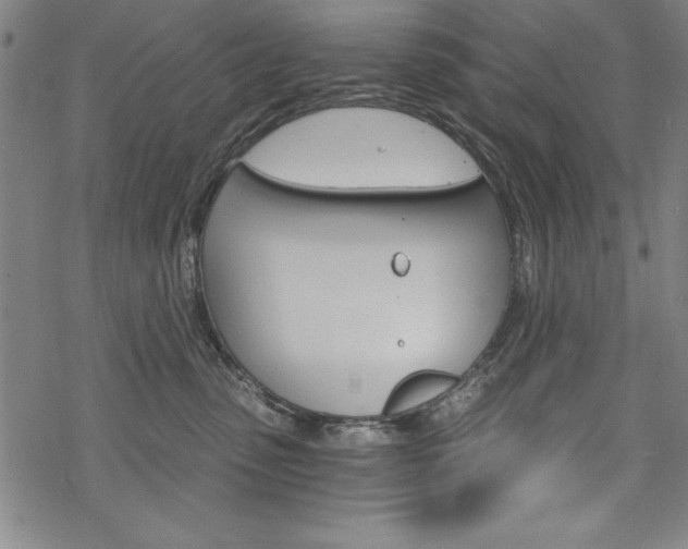 X0000068830475200605050923