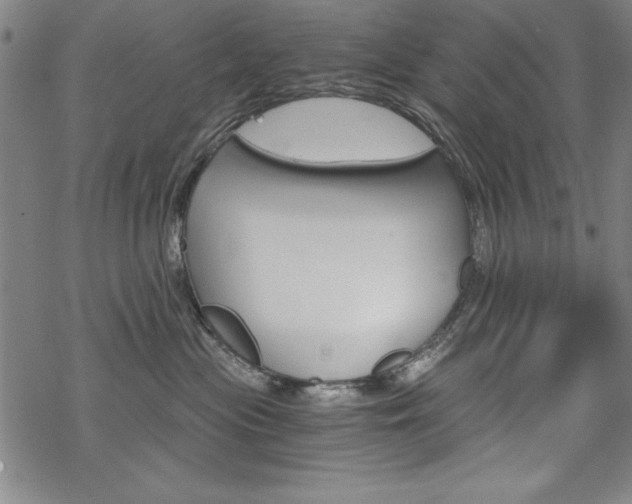 X0000068830477200605050923