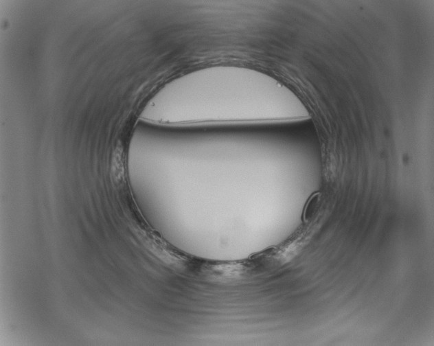 X0000068830478200605050923