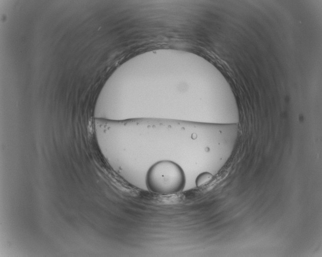 X0000068830479200605050923