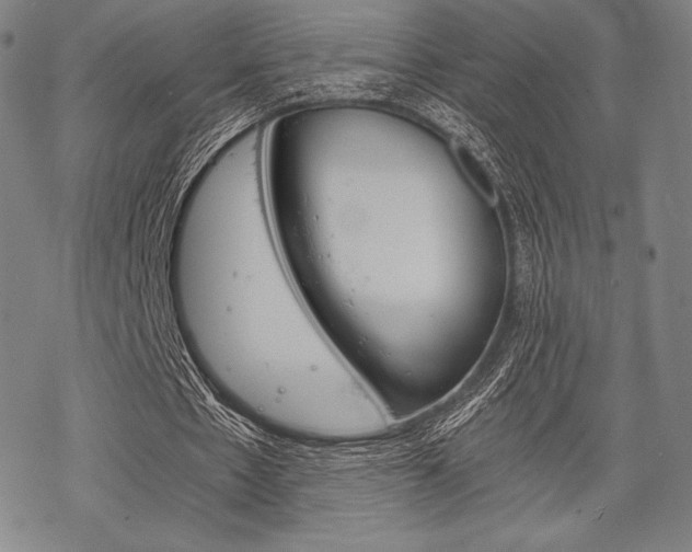 X0000068830481200605050922