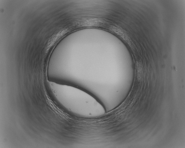 X0000068830482200605050922