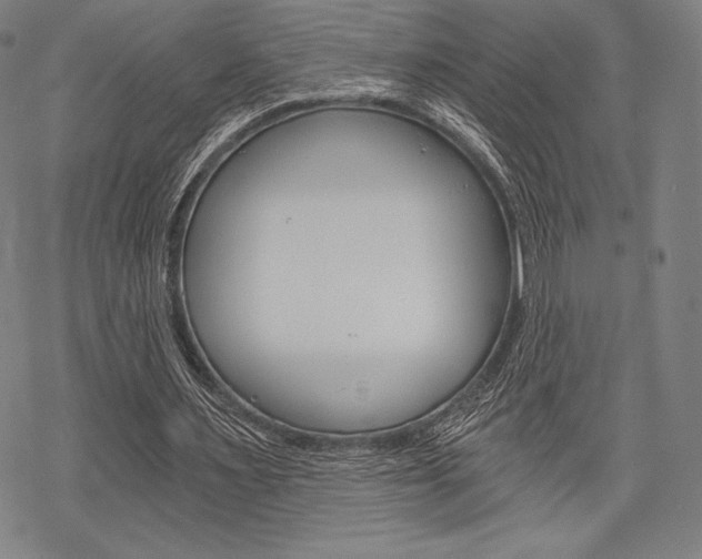 X0000068830483200605050922