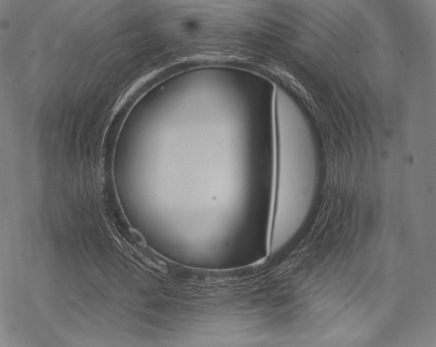 X0000068830484200605050922