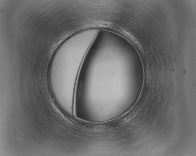 X0000068830485200605050922