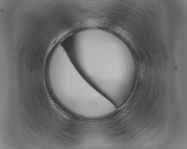 X0000068830486200605050922