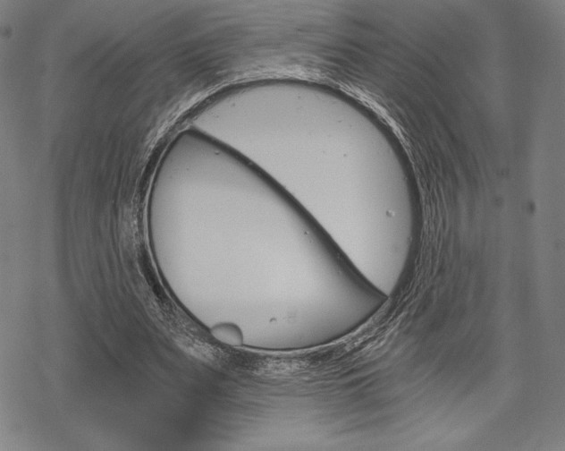 X0000068830487200605050922