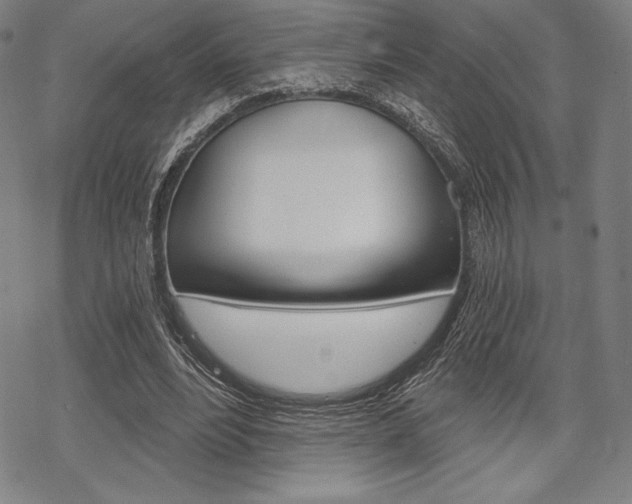 X0000068830488200605050922