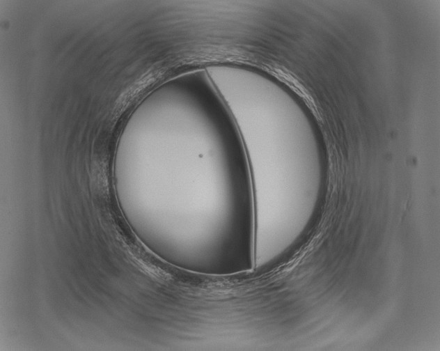 X0000068830489200605050922