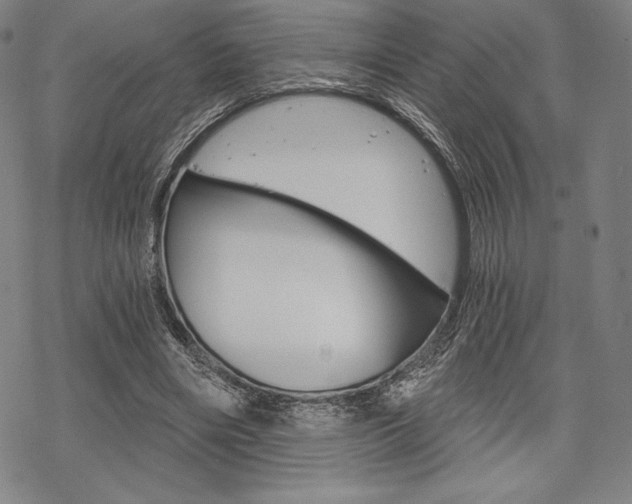 X0000068830490200605050922