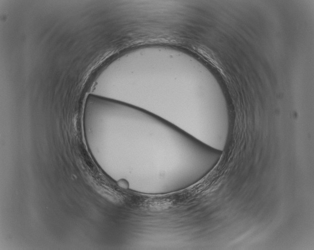 X0000068830491200605050922