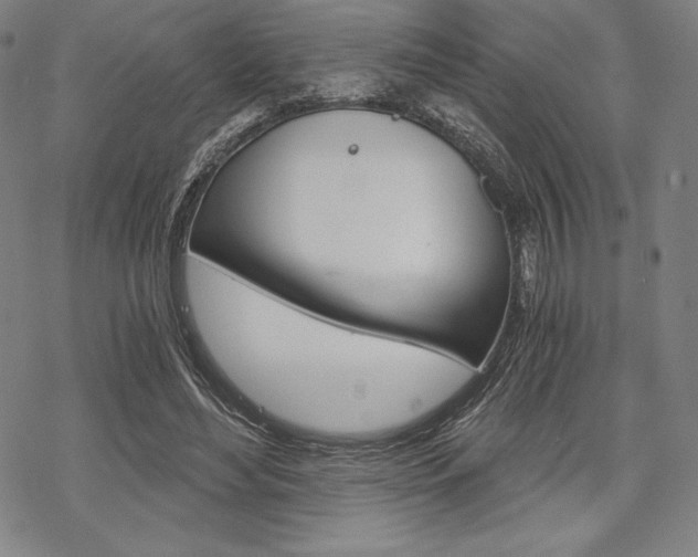 X0000068830492200605050922