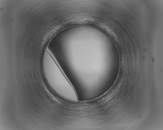 X0000068830493200605050922