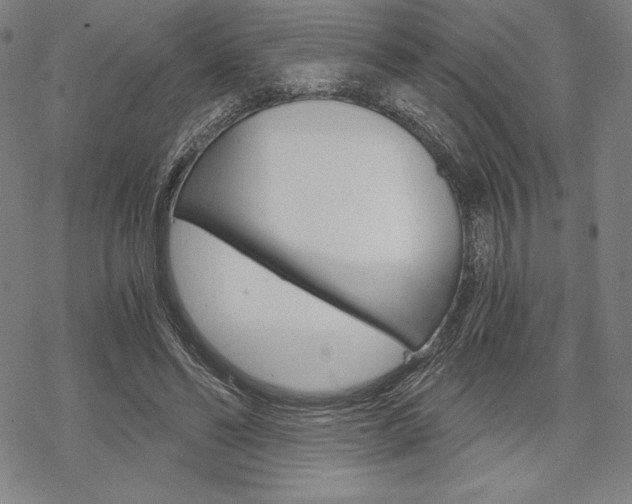 X0000068830494200605050922