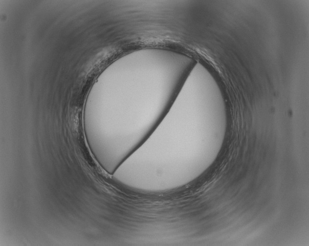 X0000068830495200605050922