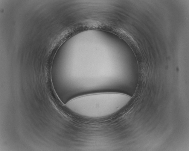 X0000068830496200605050922