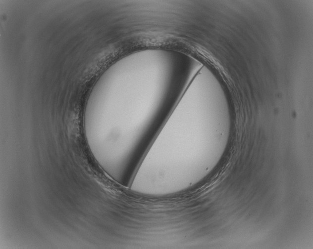 X0000068830497200605050922