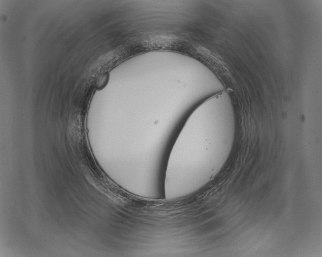 X0000068830498200605050922