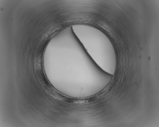 X0000068830499200605050922