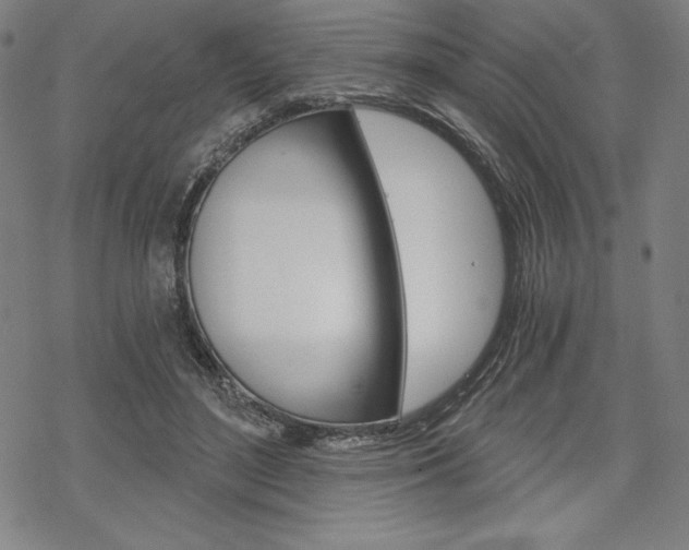 X0000068830500200605050922