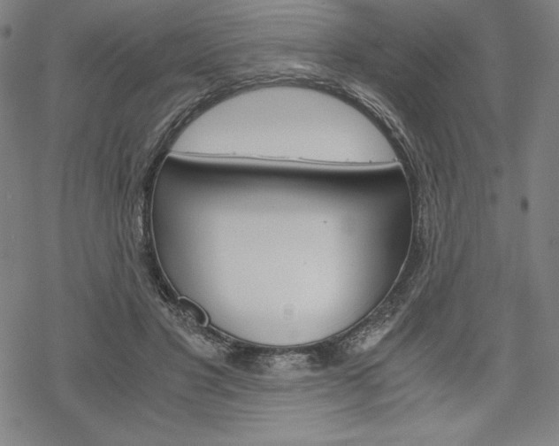 X0000068830501200605050922