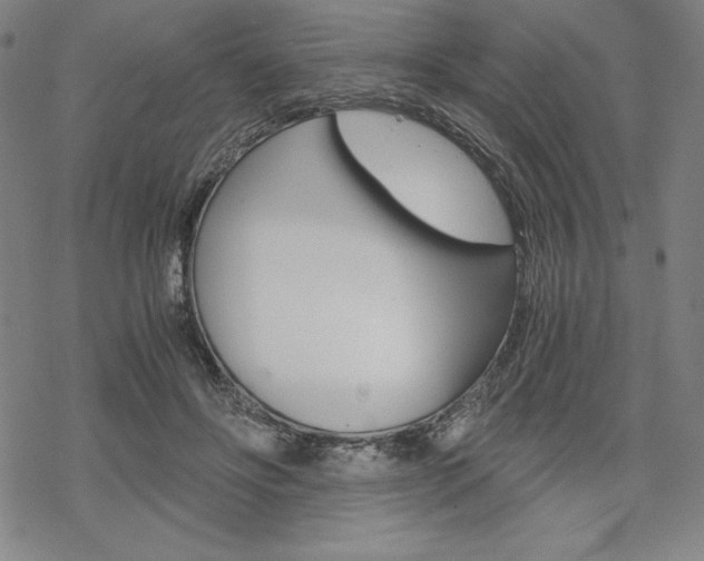 X0000068830502200605050922