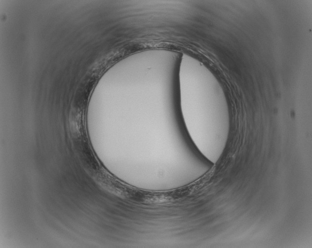 X0000068830503200605050922