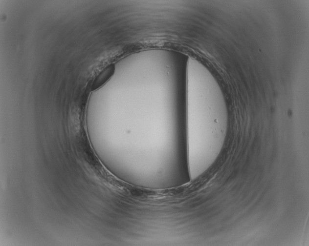 X0000068830504200605050922