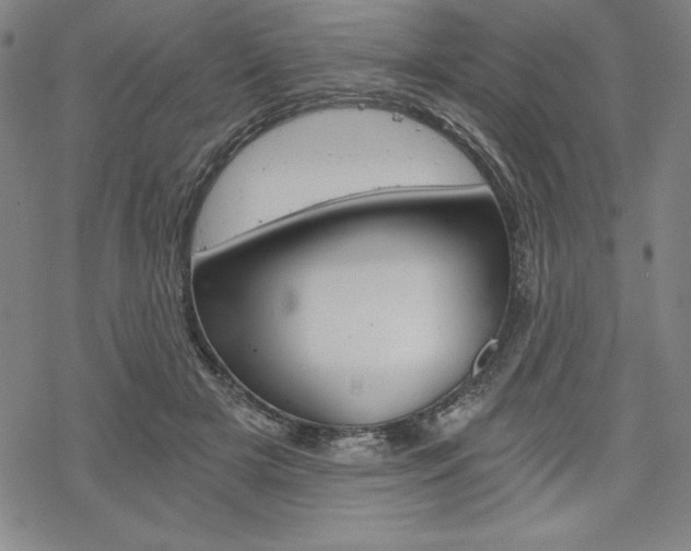 X0000068830505200605050922