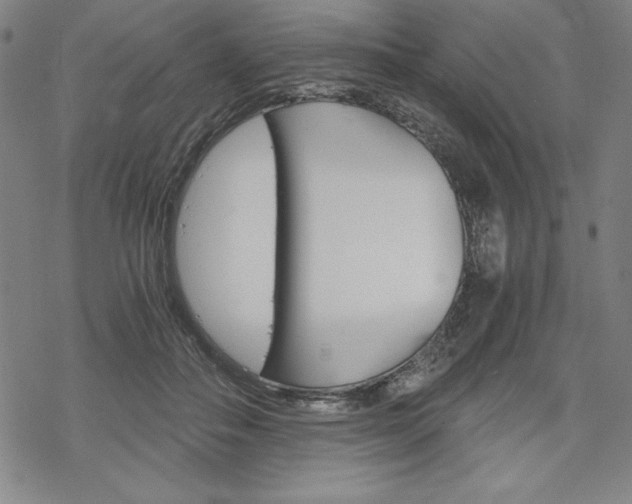 X0000068830506200605050921