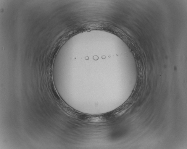 X0000068830507200605050921