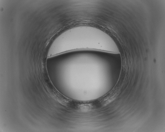 X0000068830508200605050921