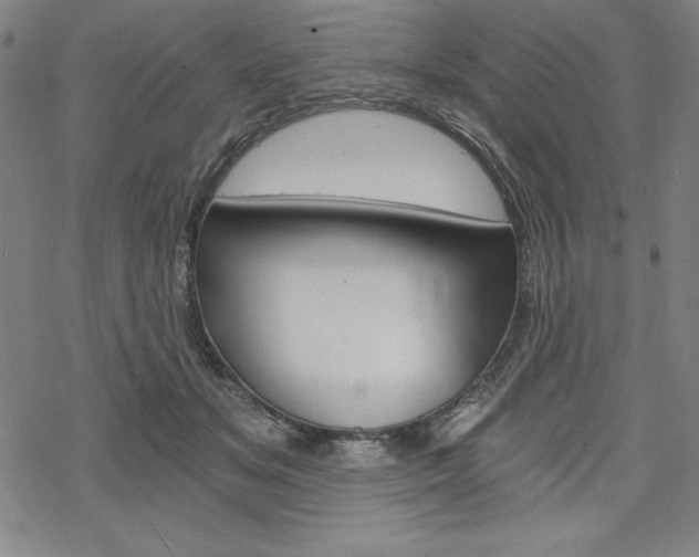 X0000068830509200605050921