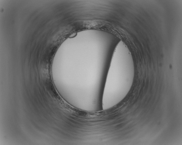 X0000068830510200605050921