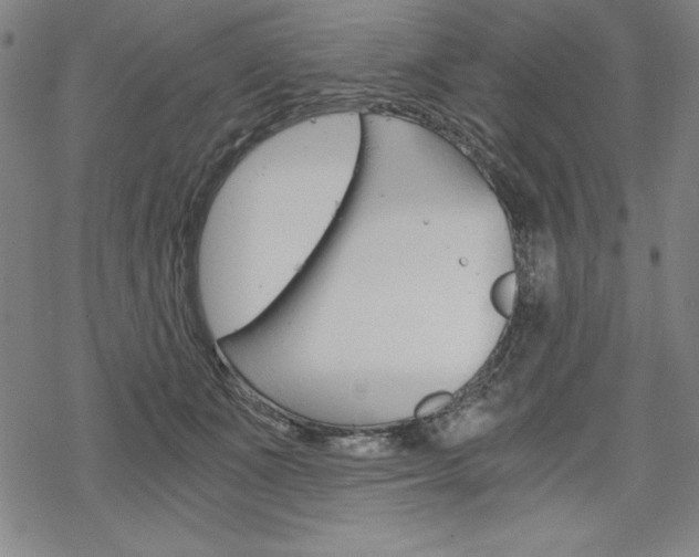 X0000068830511200605050921