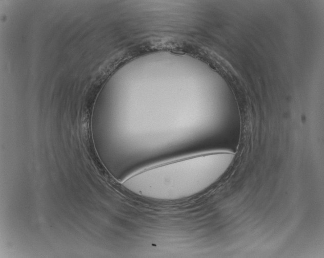 X0000068830513200605050921