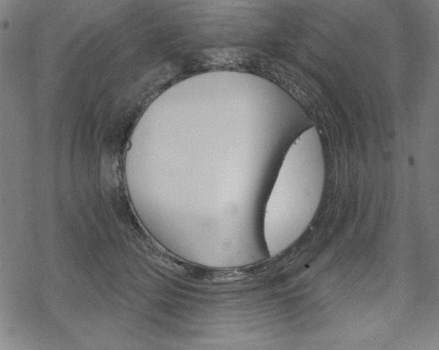 X0000068830514200605050921