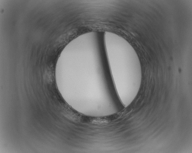 X0000068830515200605050921