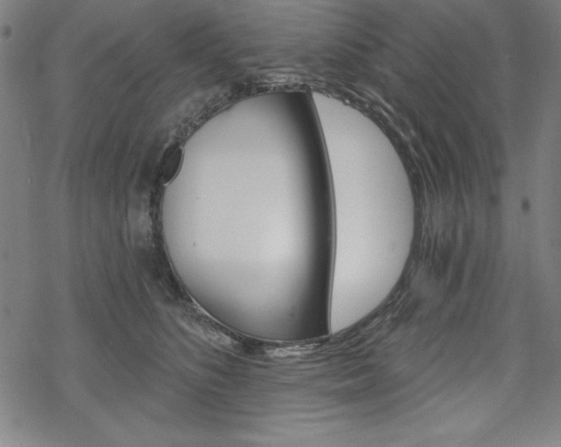 X0000068830516200605050921