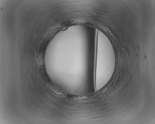 X0000068830517200605050921