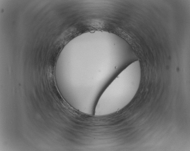 X0000068830518200605050921