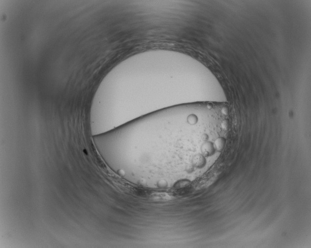 X0000068830519200605050921