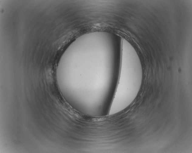 X0000068830520200605050921