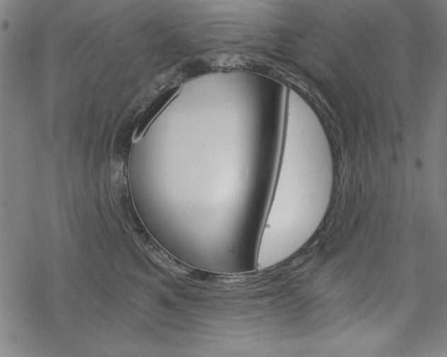 X0000068830521200605050921